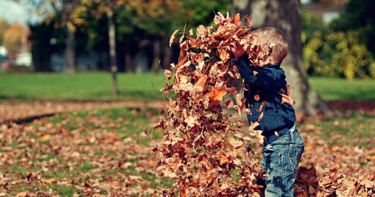 Herfstklaar wonen: 7 tips om schade aan je huis te voorkomen